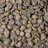 Fresh Roasted Coffee, Unroasted Brazil, Kosher, 5 Pound(Unroasted Organic Honduran Marcala)