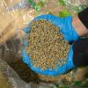 Fresh Roasted Coffee, Unroasted Brazil, Kosher, 5 Pound(Unroasted Organic Mexican)