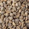 Fresh Roasted Coffee, Unroasted Organic Ethiopian Sidamo |USDA Organic, 100% Single Origin, Kosher | 5 Pound(Unroasted Organic Sumatra Mandheling)